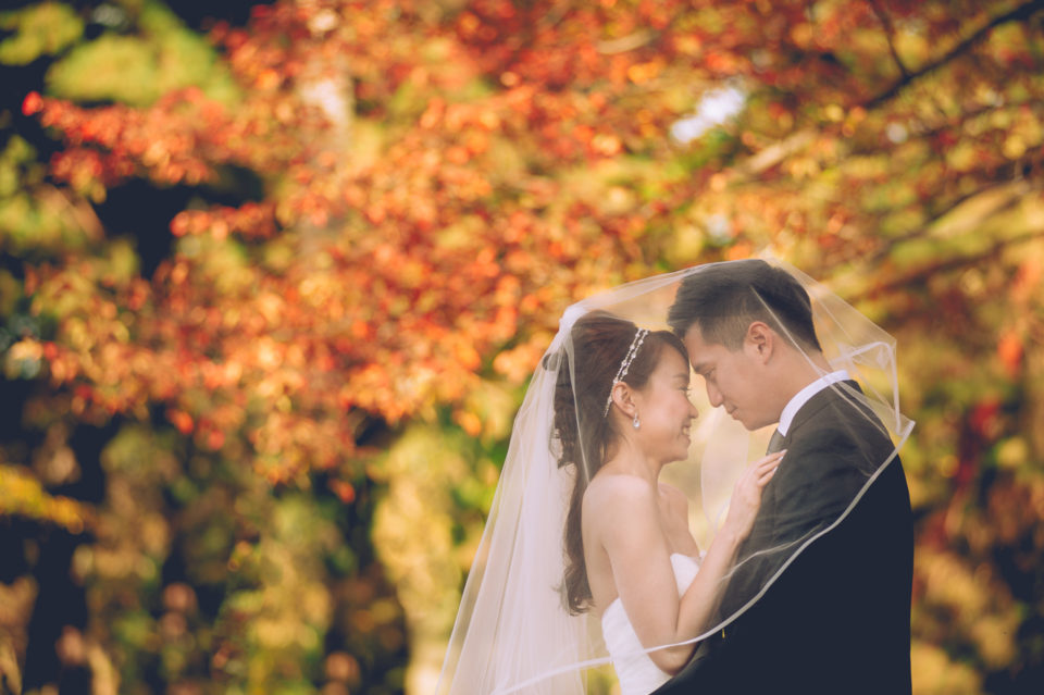 Singapore Wedding Photography Photographer Pre-Wedding Prewedding Solemnization ROM Packages Destination Japan Kyoto
